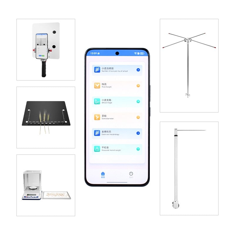 小麦表型分析系统