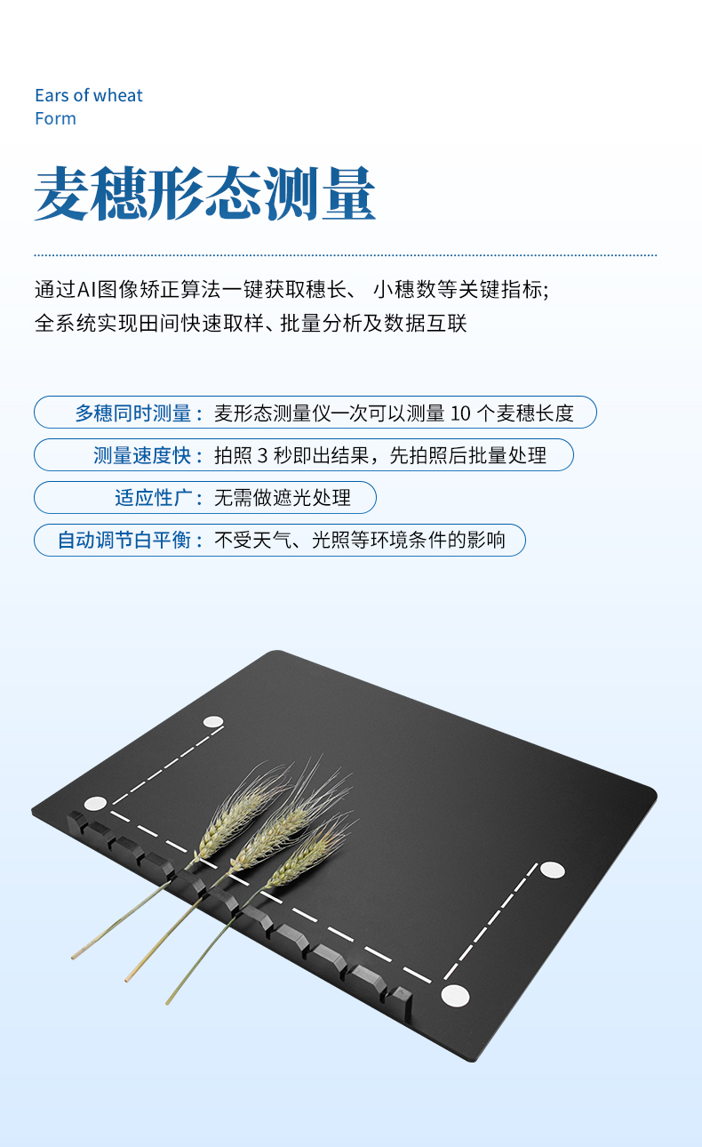 详情_09.jpg