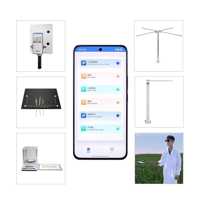 小麦表型分析系统：引领精准农业的智能化变革