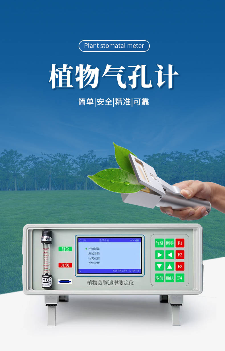 植物气孔计 (1).jpg