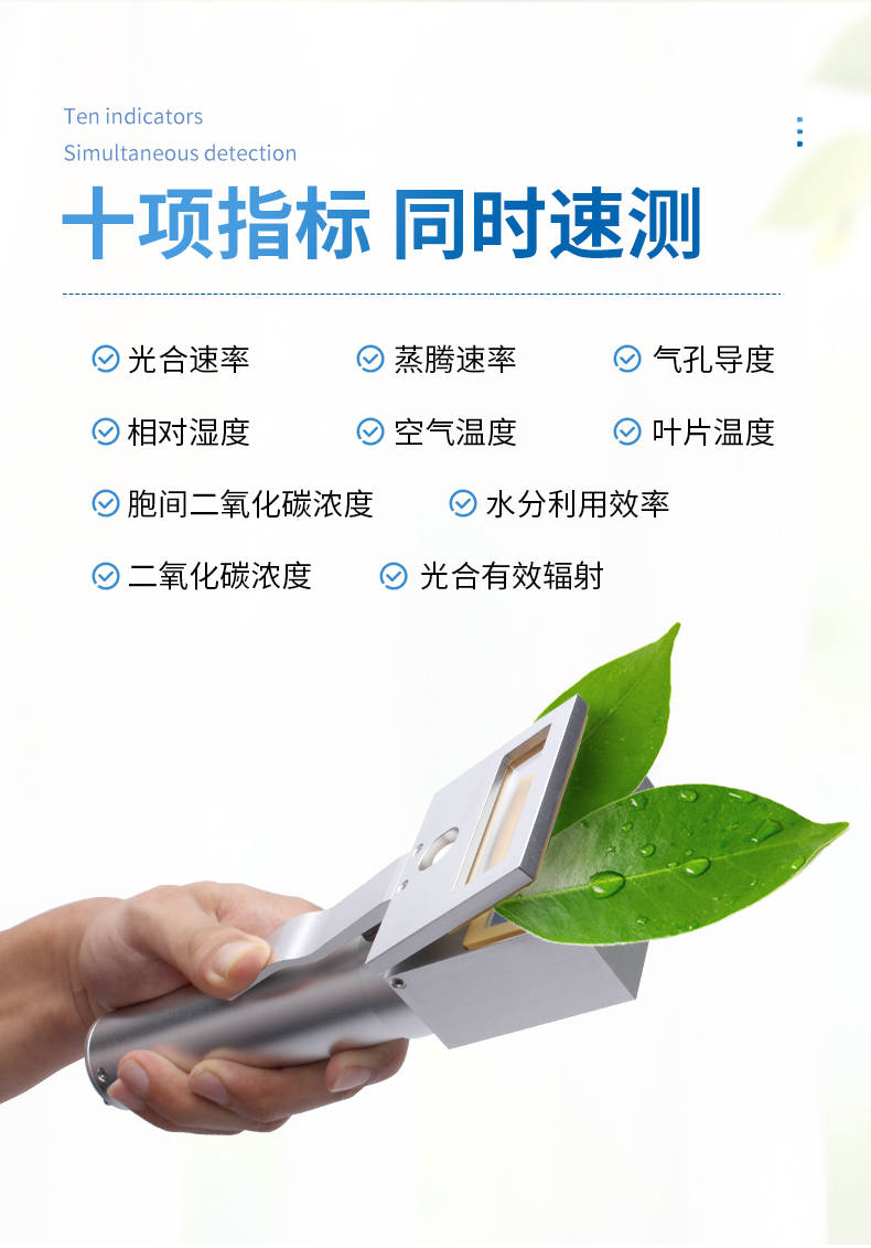 光合作用测定仪 (3).jpg